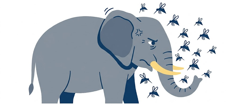 EL MOSQUITO Y EL ELEFANTE: EL PODER DE UN COLECTIVO QUE HA DESPERTADO